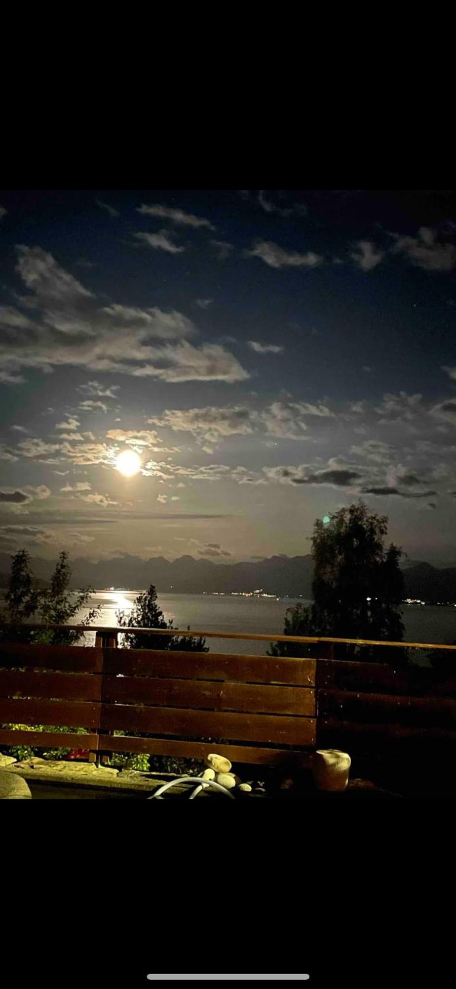 Lejlighed Koselig Kjellerleilighet Molde